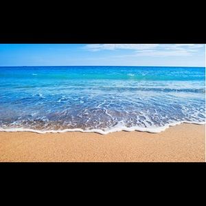 Meet your Posher, Whitney